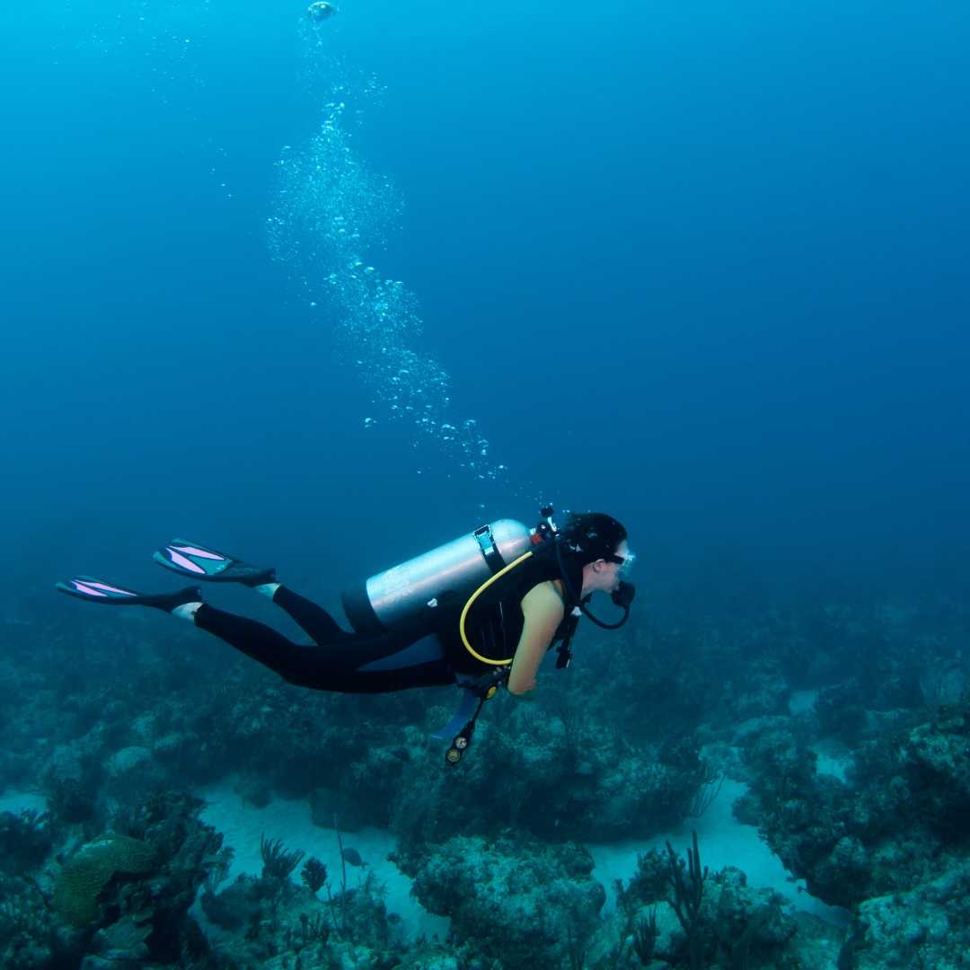 Coral reef nitrogen enrichment experiments